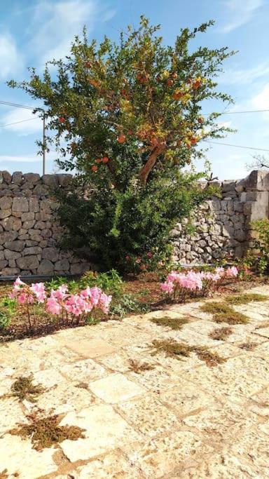 Trullo Mami Villa Putignano Exterior photo