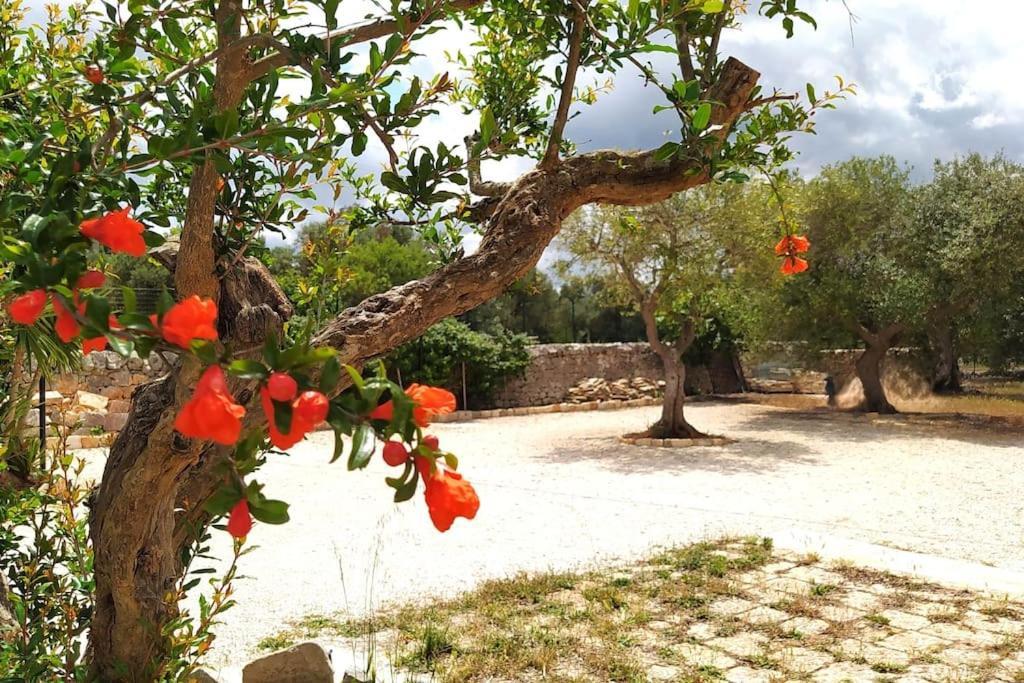 Trullo Mami Villa Putignano Exterior photo